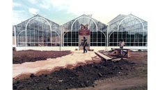 Image for Stratford Butterfly Farm to celebrate its 40th anniversary!