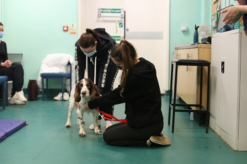 Duo of animal health courses at a Warwickshire college receive major accreditation Duo of animal health courses at a Warwickshire college receive major accreditation