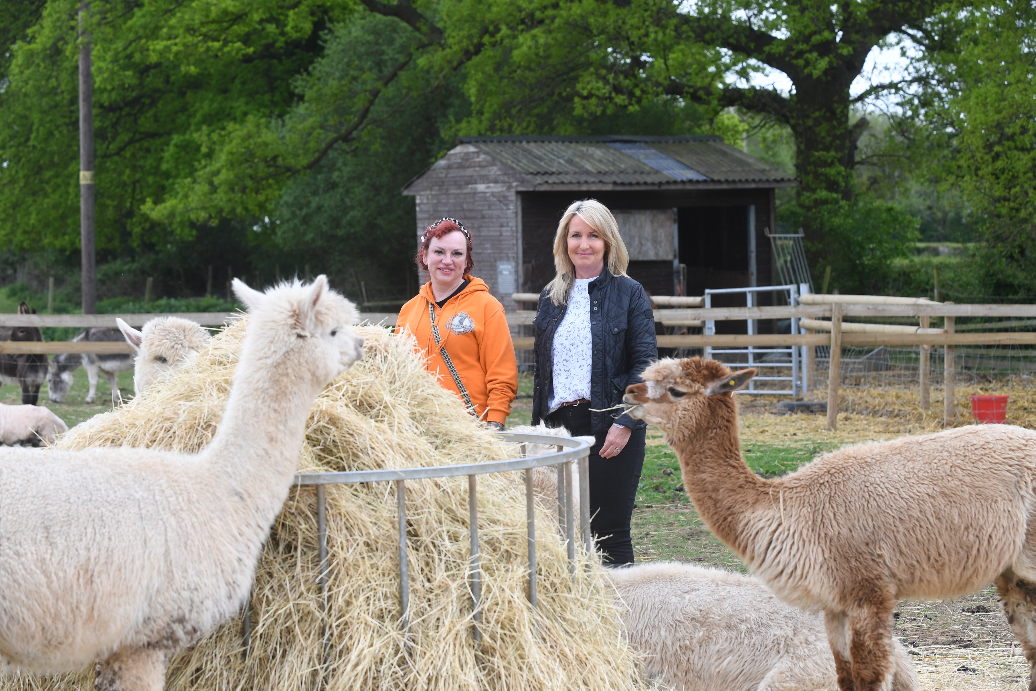 Alpaca Farm in North Warwickshire all set to grow after support