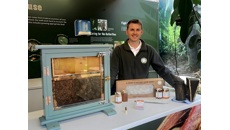Image for Discover all about Bees & Spiders this Half term!