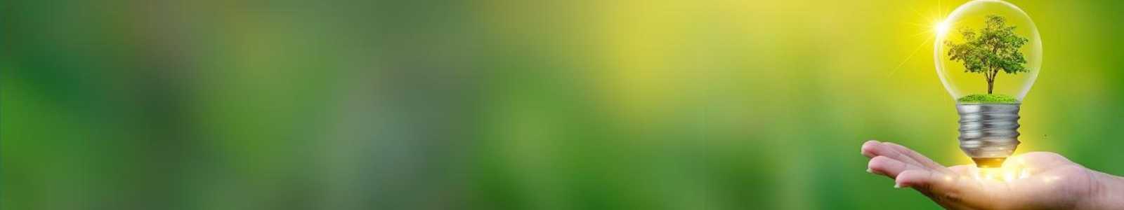 sustainable banner.jpg