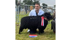 Image for Popular flock of biodiversity boosting Hebridean sheep at Ryton Pools set for 10 year stay