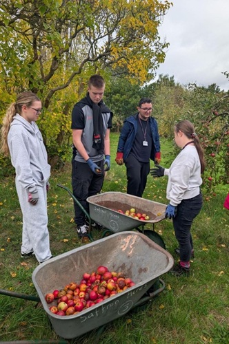 Image for Communities benefit from students developing green skills