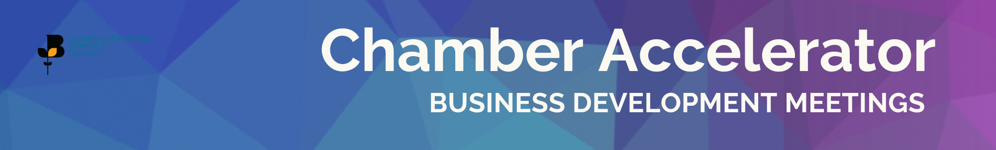 CWCC Accelerator Business Development Meetings