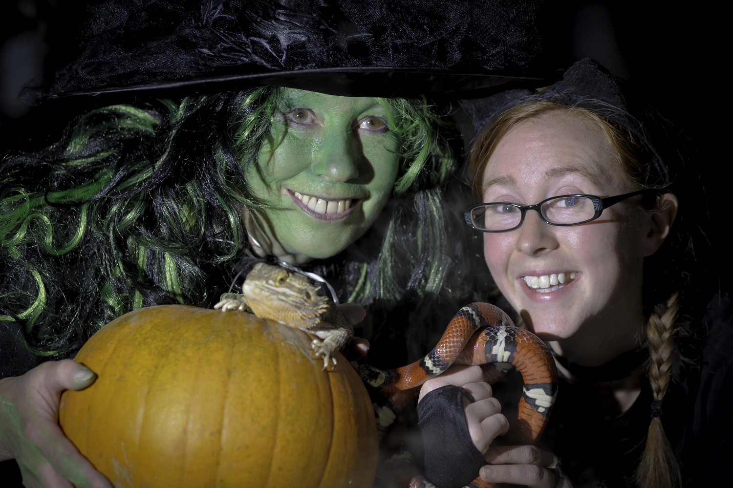 Magic, Mayhem and a Pumpkin Spooktacular at Hatton Adventure World!