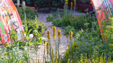 Image for Pershore student awarded gold medal for show garden