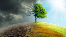 Image for Warwickshire County Council declares climate change emergency