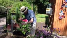 Image for Crossing their green fingers