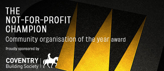 Image for The Not-For-Profit Champion