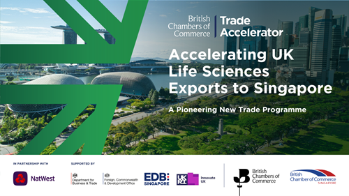 Image for Trade Accelerator: Singapore (Life Sciences & HealthTech)
