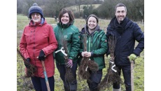 Image for Over 275,000 trees planted in the West Midlands over the last three years thanks to partnership working