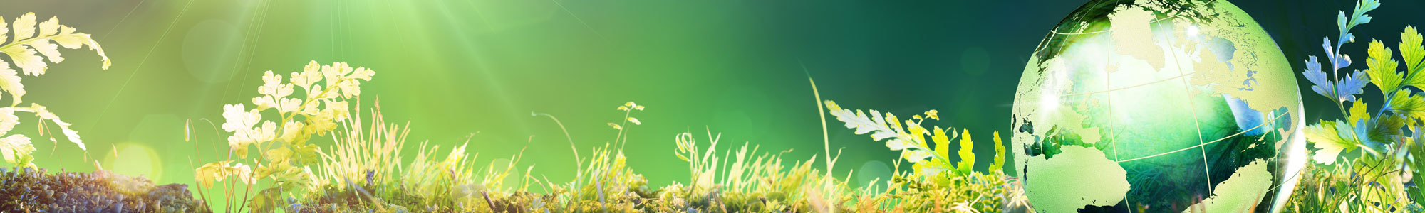 CBAM Consultancy Service (1)