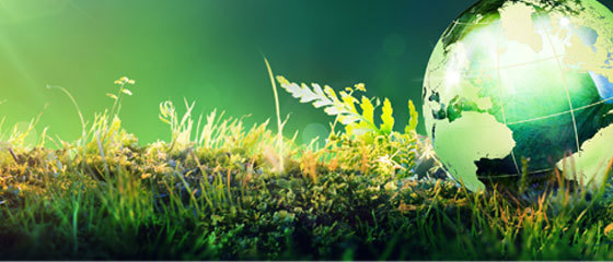 Image for CBAM