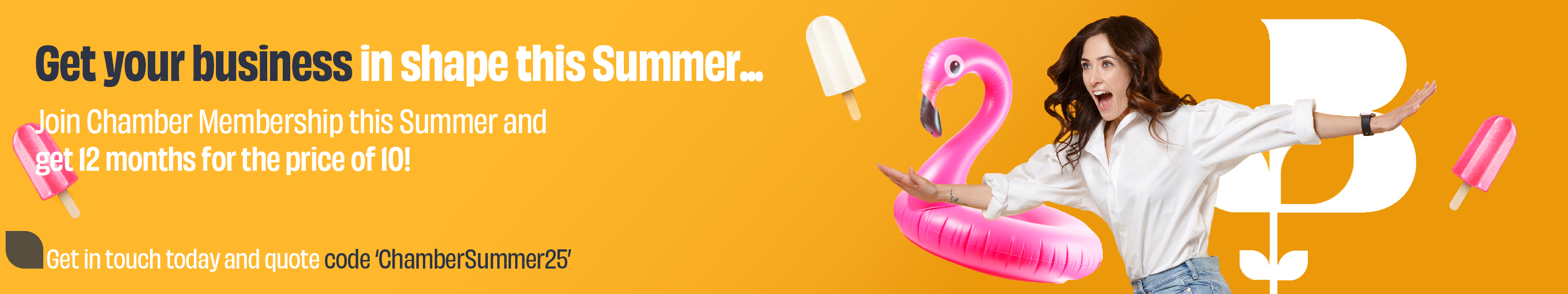 Website Page Banner (3)