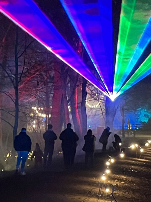 Search on to find couple in proposal at Coombe Abbey's Luminate light trail