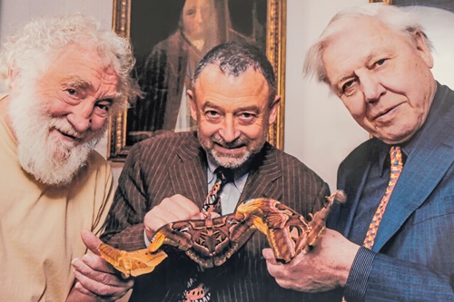 Image for Stratford-upon-Avon Butterfly Farm to celebrate Sir David Attenborough’s 100th birthday