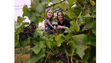 Image for North Warwickshire vineyard toasts business support that's help it to grow