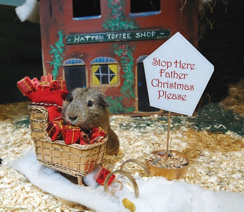 Hatton Country World delivered a magical Christmas for families from Roald Dahl’s Marvellous Children’s Charity!