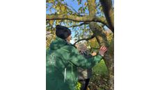 Image for Collaboration helping the environment and tackling climate and biodiversity emergencies