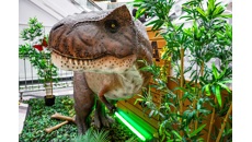 Image for Prehistoric summer events programme roars into Coventry - as Dippy prepares for final summer in the city