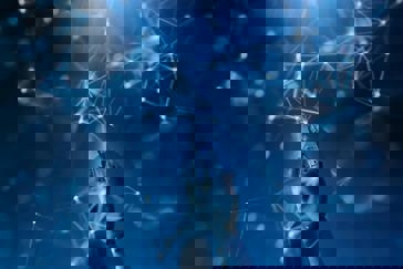 Image for ICM Econominds