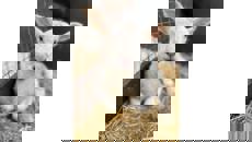 Image for Cute baby animals to steal the show at Hatton this Easter!