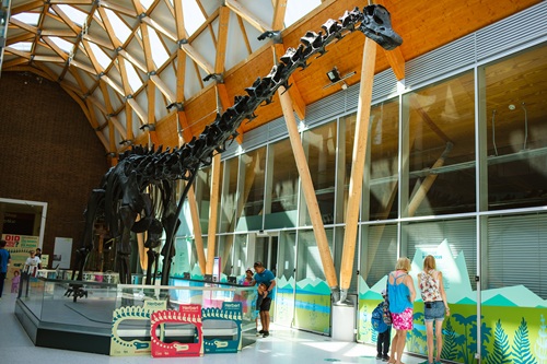 Image for Dippy extends Coventry stay until 2027